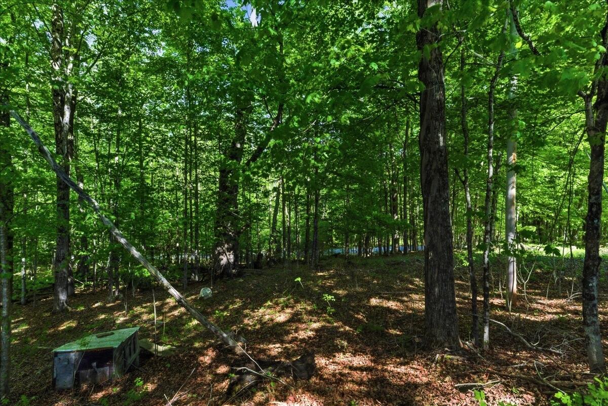 263 Number Six Road Oxford, ME 04270 - Photo 19 of 72 Woods behind home