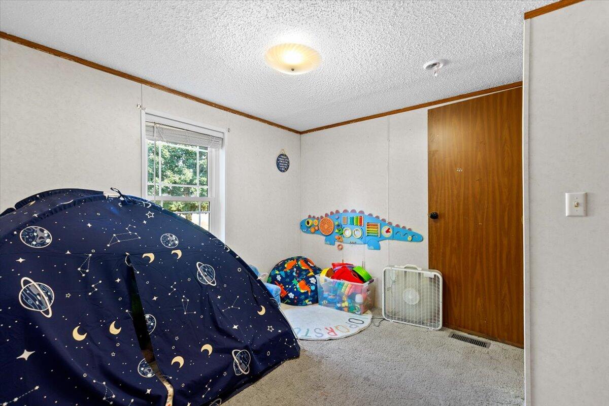 11383 Bale Road Lakeview, MI 48850 - Photo 30 of 33 Gallery Image 30