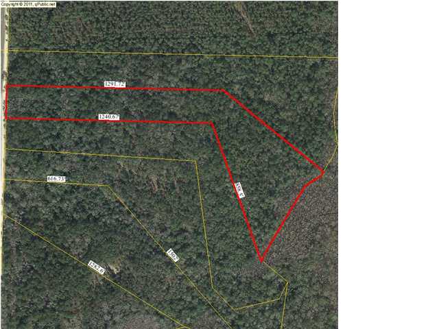 0 Davis Peacock Road Wewahitchka, FL 32449 - Photo 1 of 1