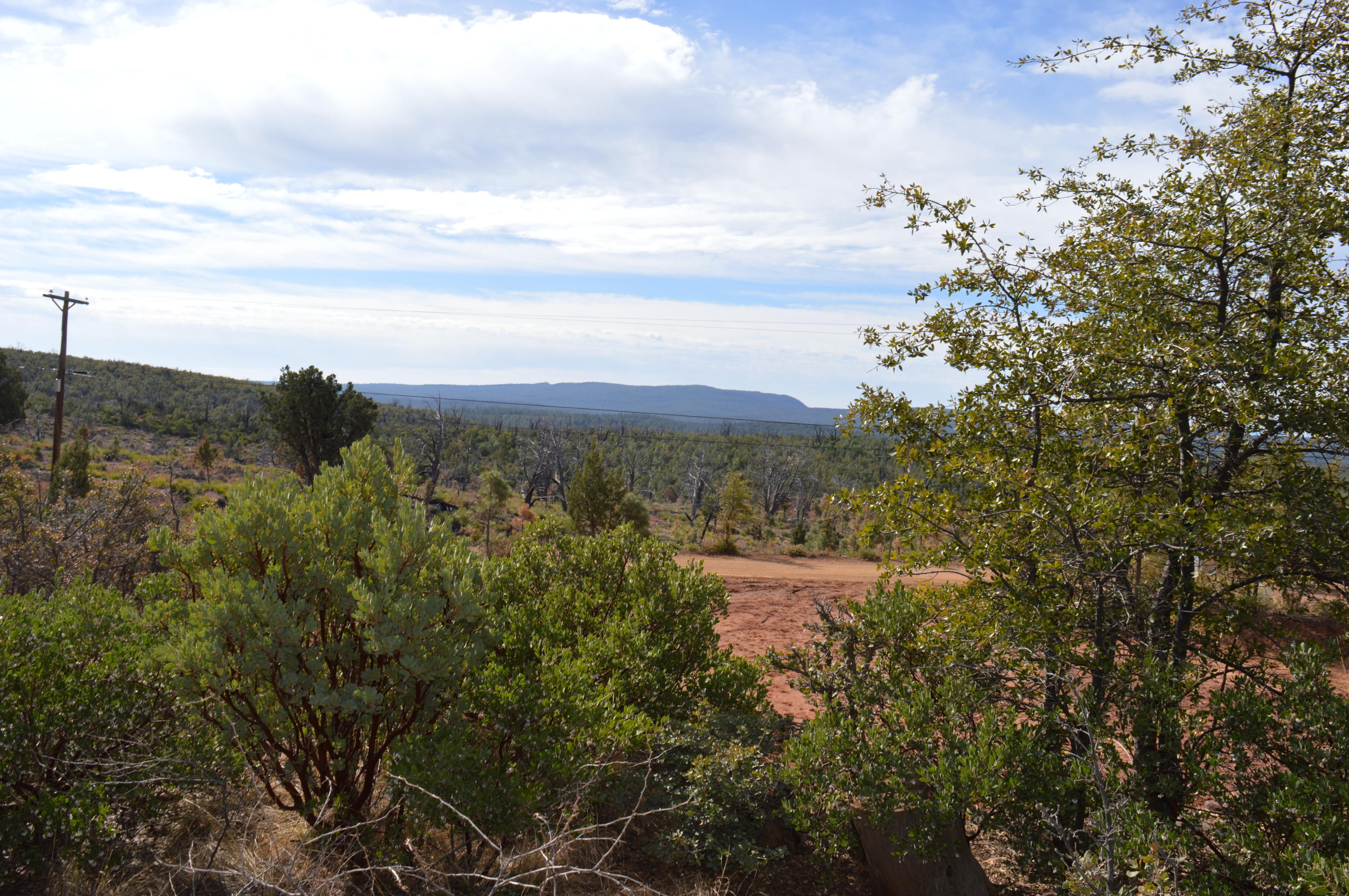 Lot 19 North Myrtle Point Trail Payson, AZ 85541 - Photo 4 of 10