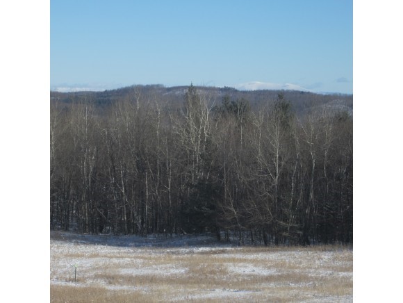 80 Orchard Road Tunbridge, VT 05077 - Photo 14 of 16 Gallery Image 14