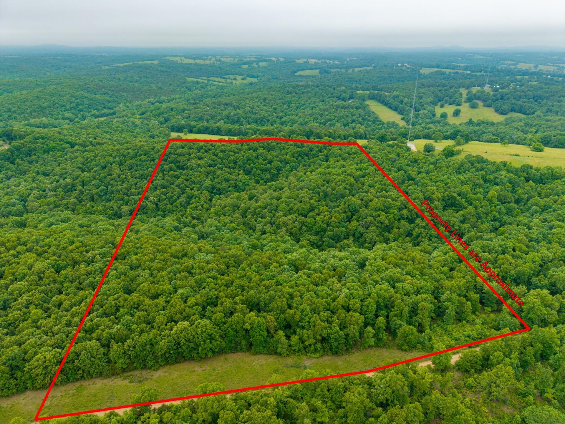 0 Co Road, Unit TRACT 2 Hardenville, MO 65666 - Photo 5 of 17 4 C 20 Hardenville-7pl