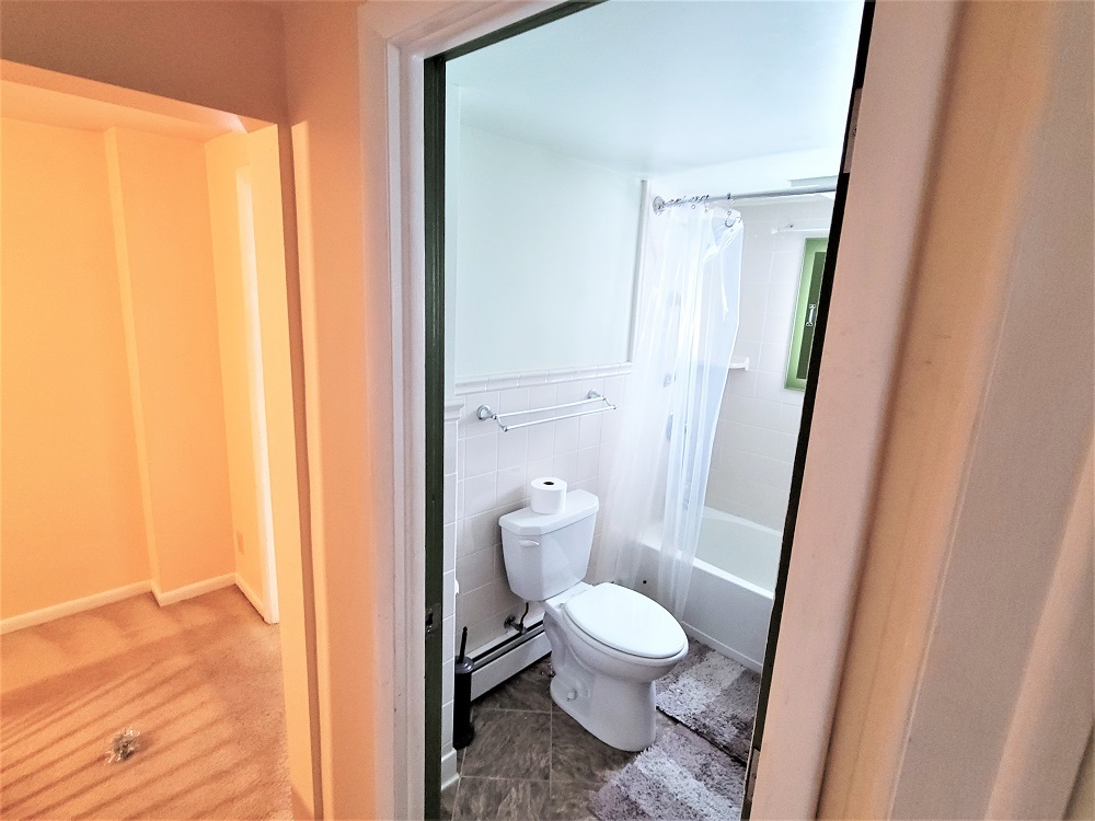 1002 Chestnut Avenue Dixon, IL 61021 - Photo 20 of 30 a bathroom with a toilet and a shower