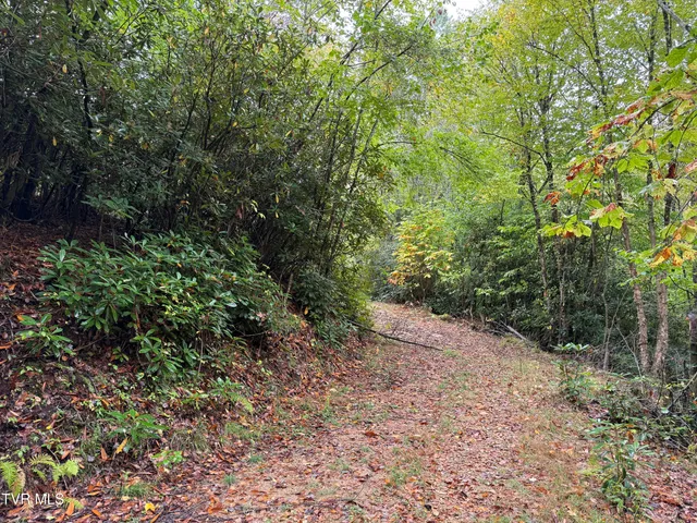 $46,000 | Tbd Clarktown Road, Unit 7A, Roan Mountain, TN 37687