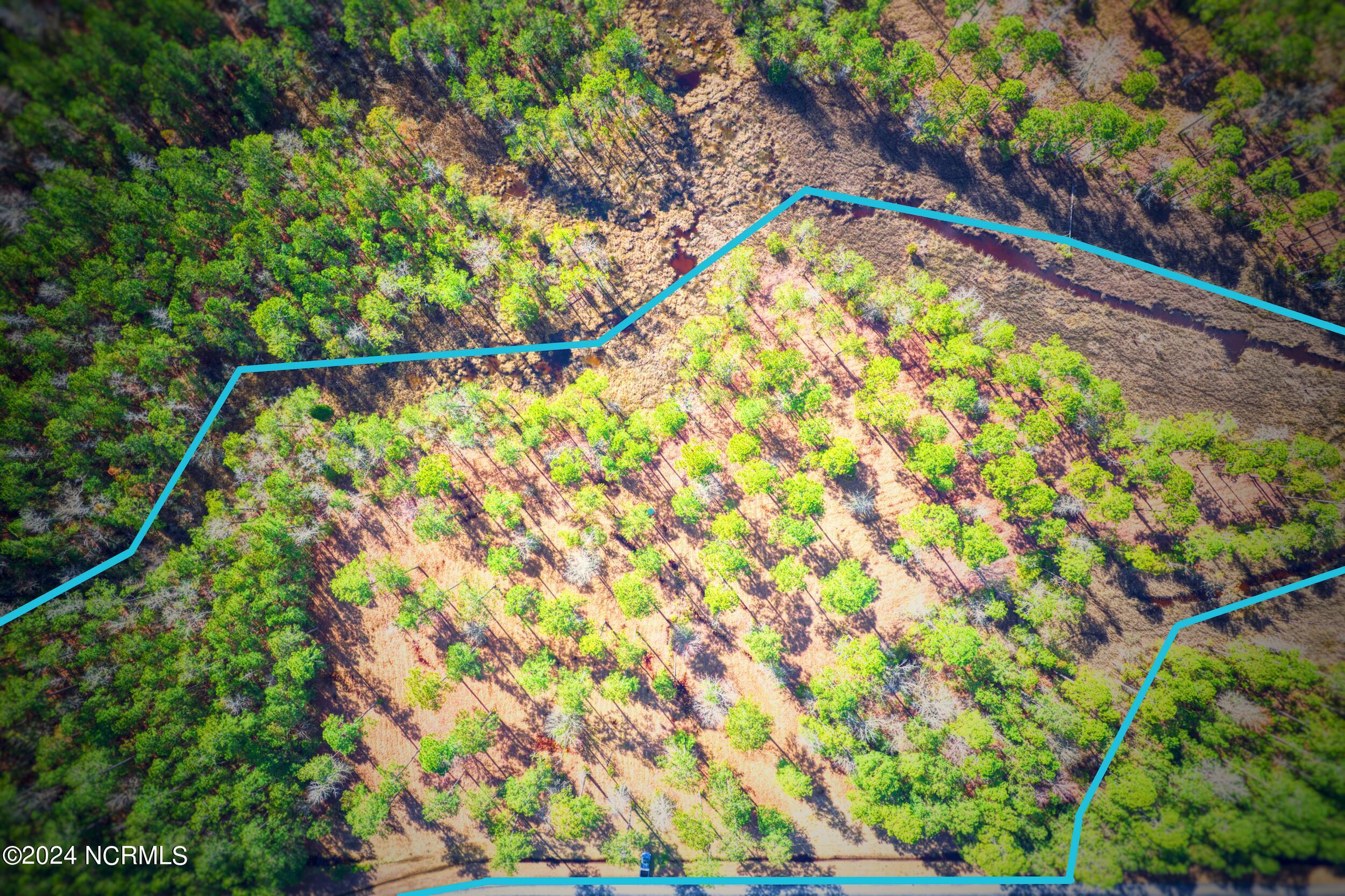 203 Paradox Point Drive Aurora, NC 27806 - Photo 2 of 15 203 Paradox Point Drive lot lines