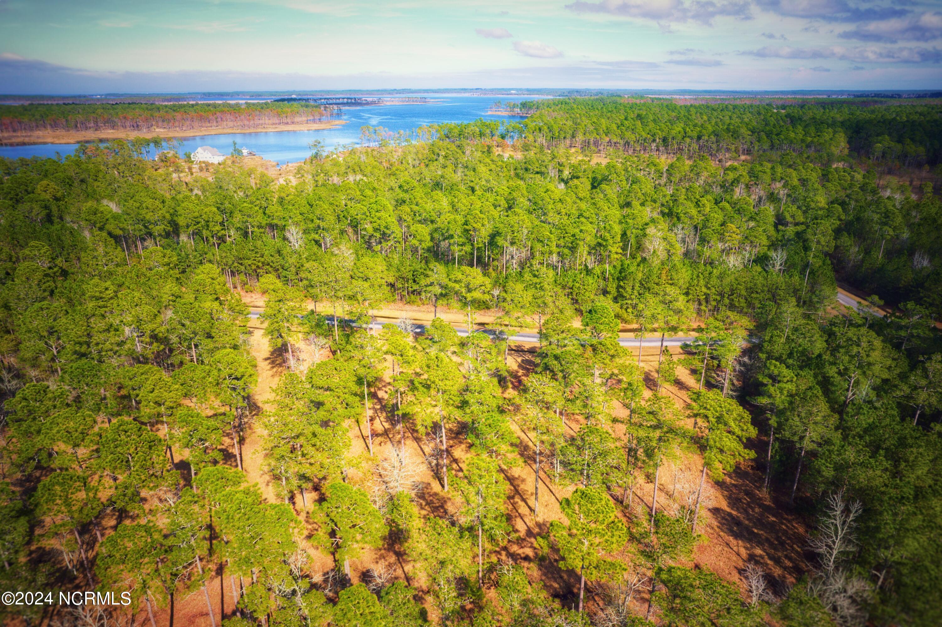 203 Paradox Point Drive Aurora, NC 27806 - Photo 6 of 15 203 Paradox Point Drive, Aurora