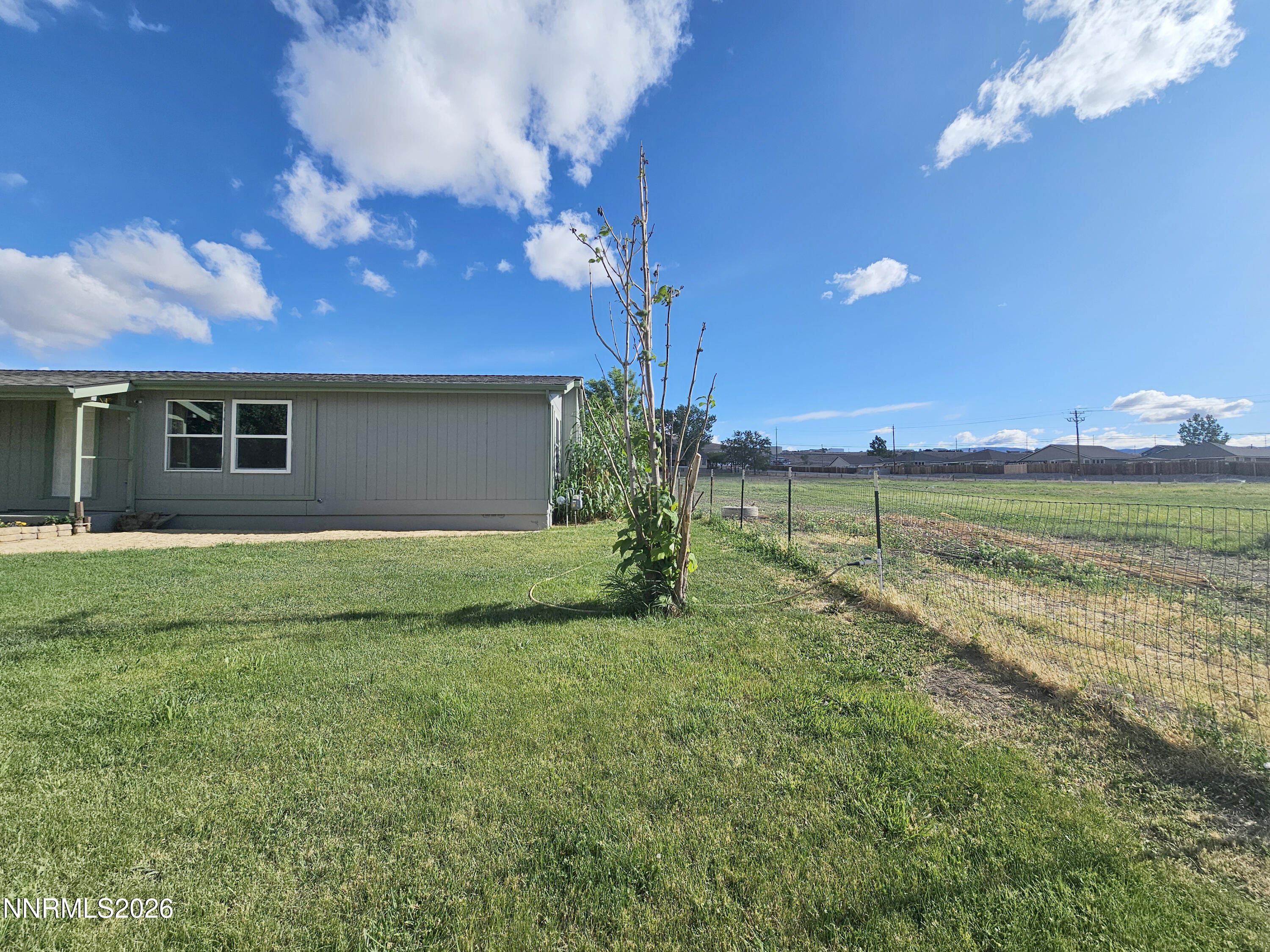 1125 Rancho Road Fernley, NV 89408 - Photo 7 of 47 a view of a backyard with plants and large trees