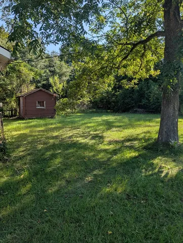 a view of a field with a tree