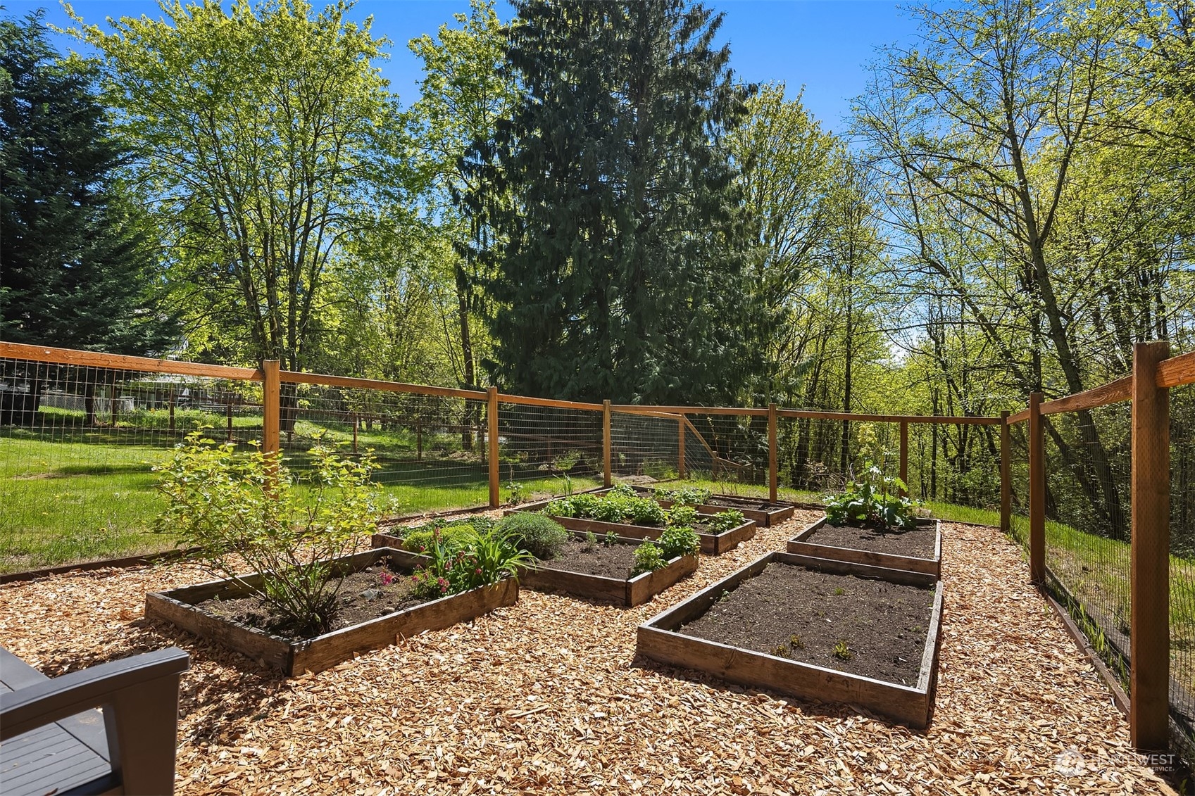 20211 Southeast 157th Street Renton, WA 98059 - Photo 34 of 38 a view of a chair and tables in the garden