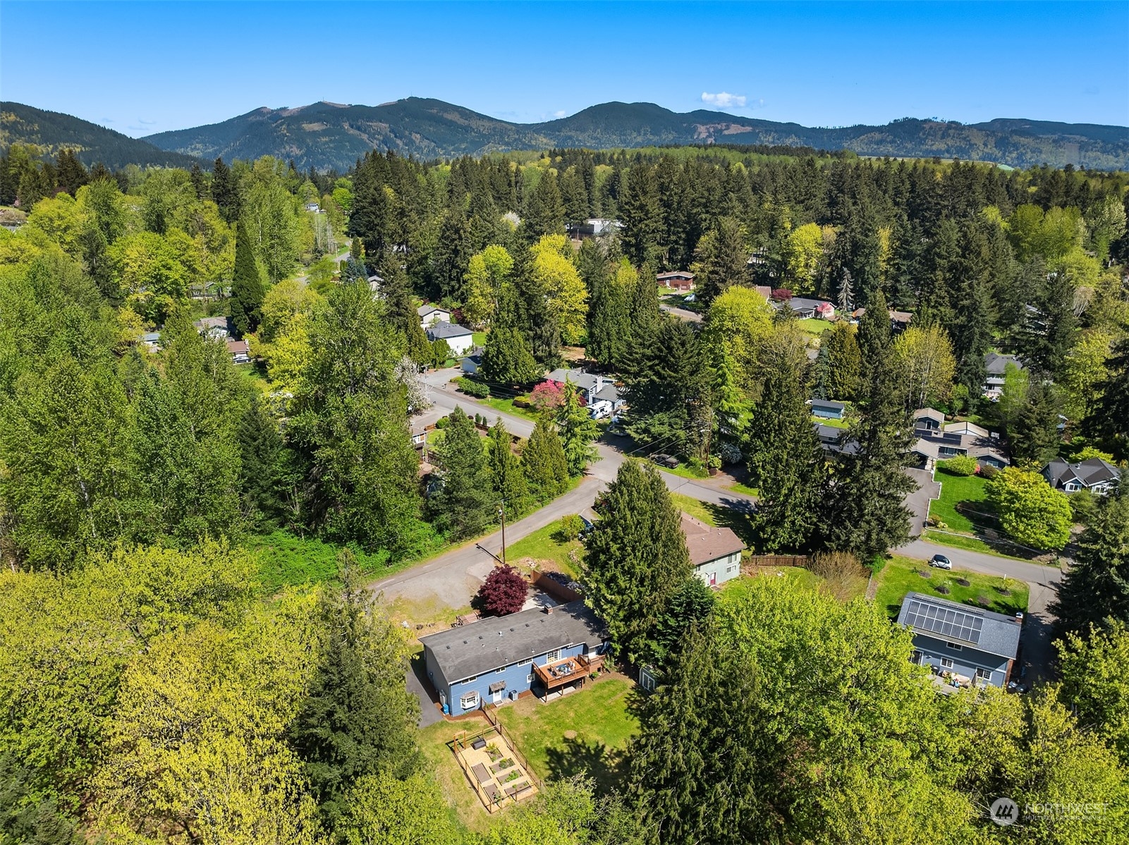 20211 Southeast 157th Street Renton, WA 98059 - Photo 35 of 38 an aerial view of residential houses with outdoor space and trees