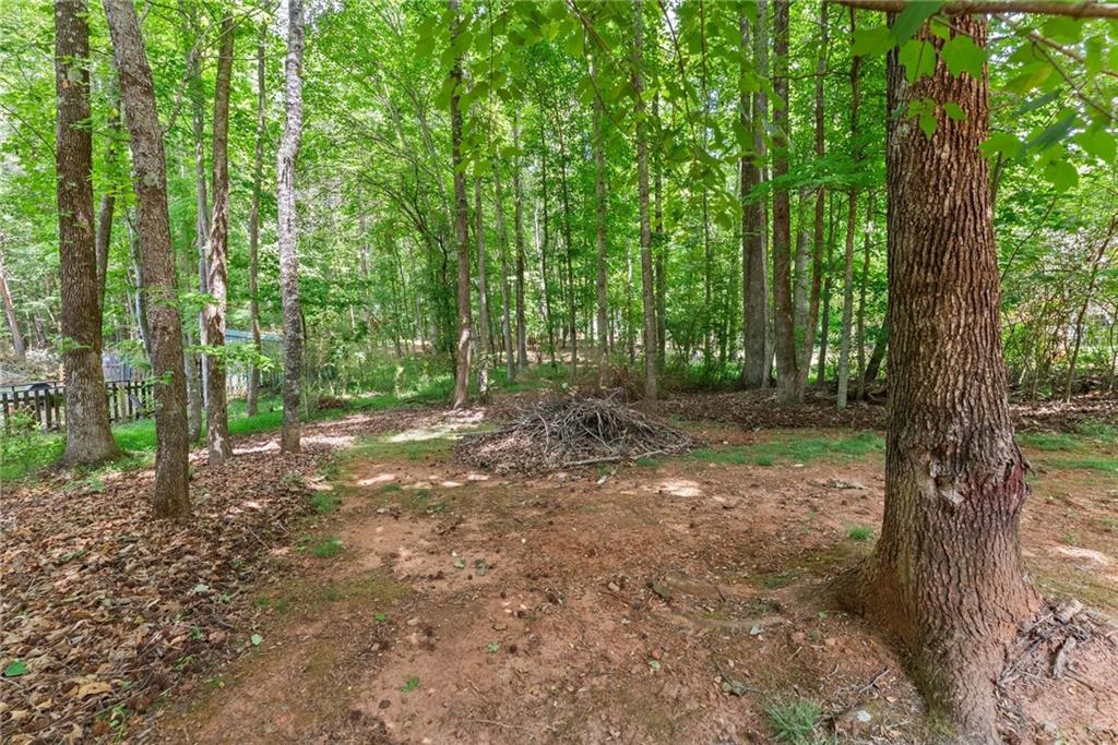 6643 Windvane Point Clermont, GA 30527 - Photo 64 of 88 a view of a forest with trees in the background
