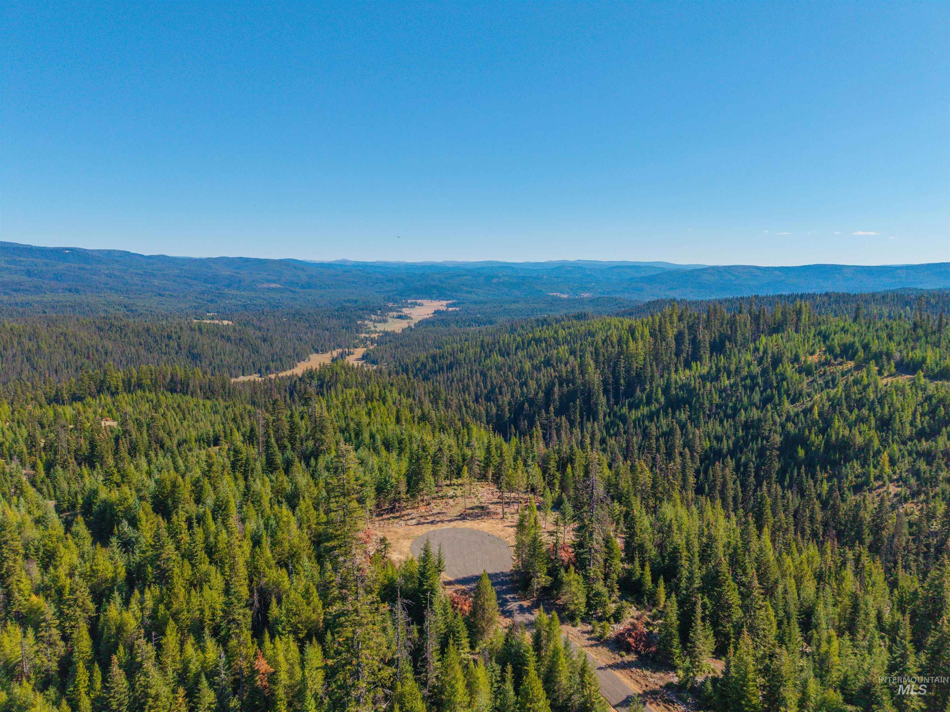 6 Tree Farm Trails Road Elk City, ID 83525 - Photo 11 of 13 Bird's eye view of a heavily wooded area