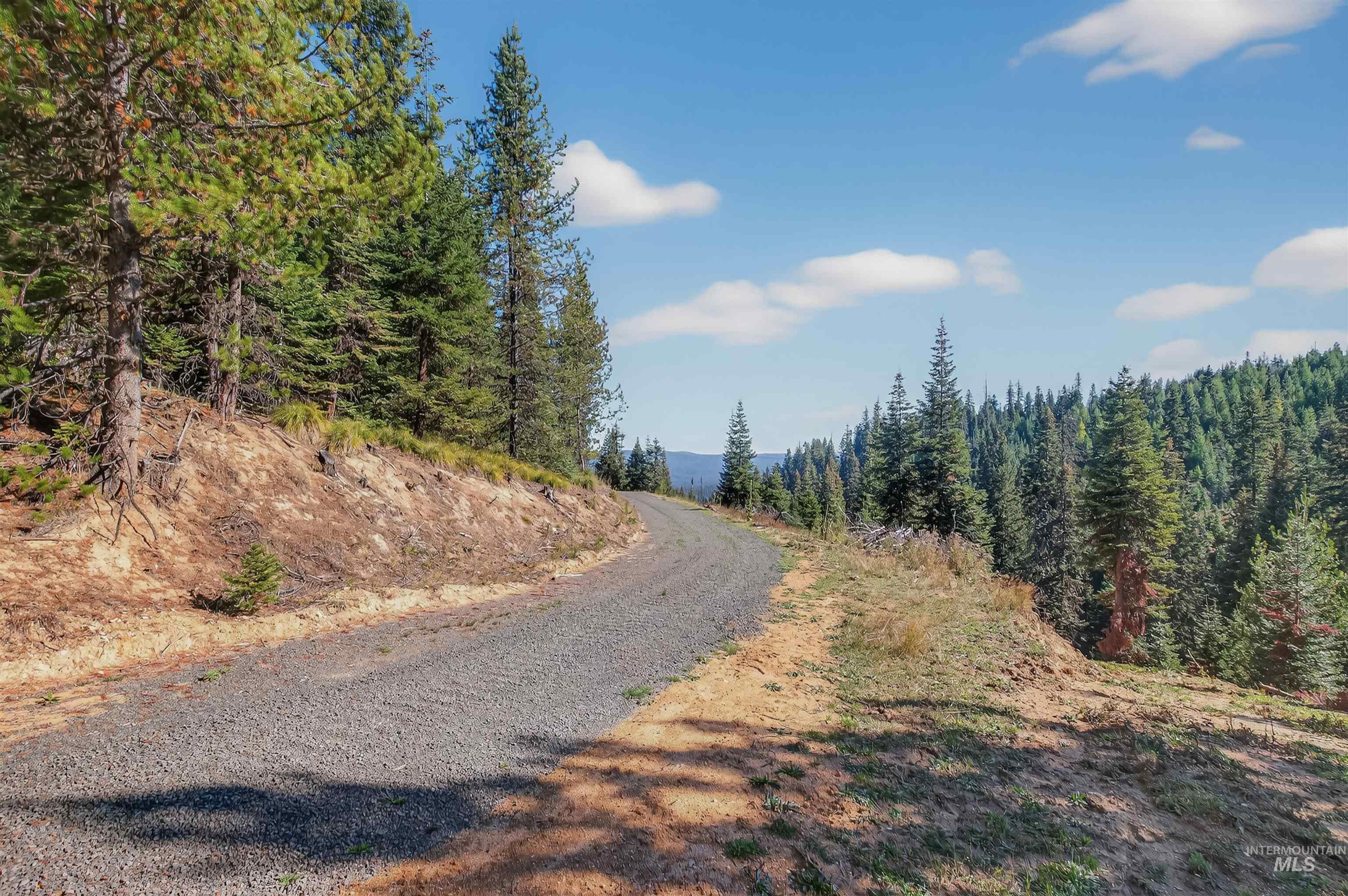 6 Tree Farm Trails Road Elk City, ID 83525 - Photo 5 of 13 View of dirt / gravel road featuring a wooded view