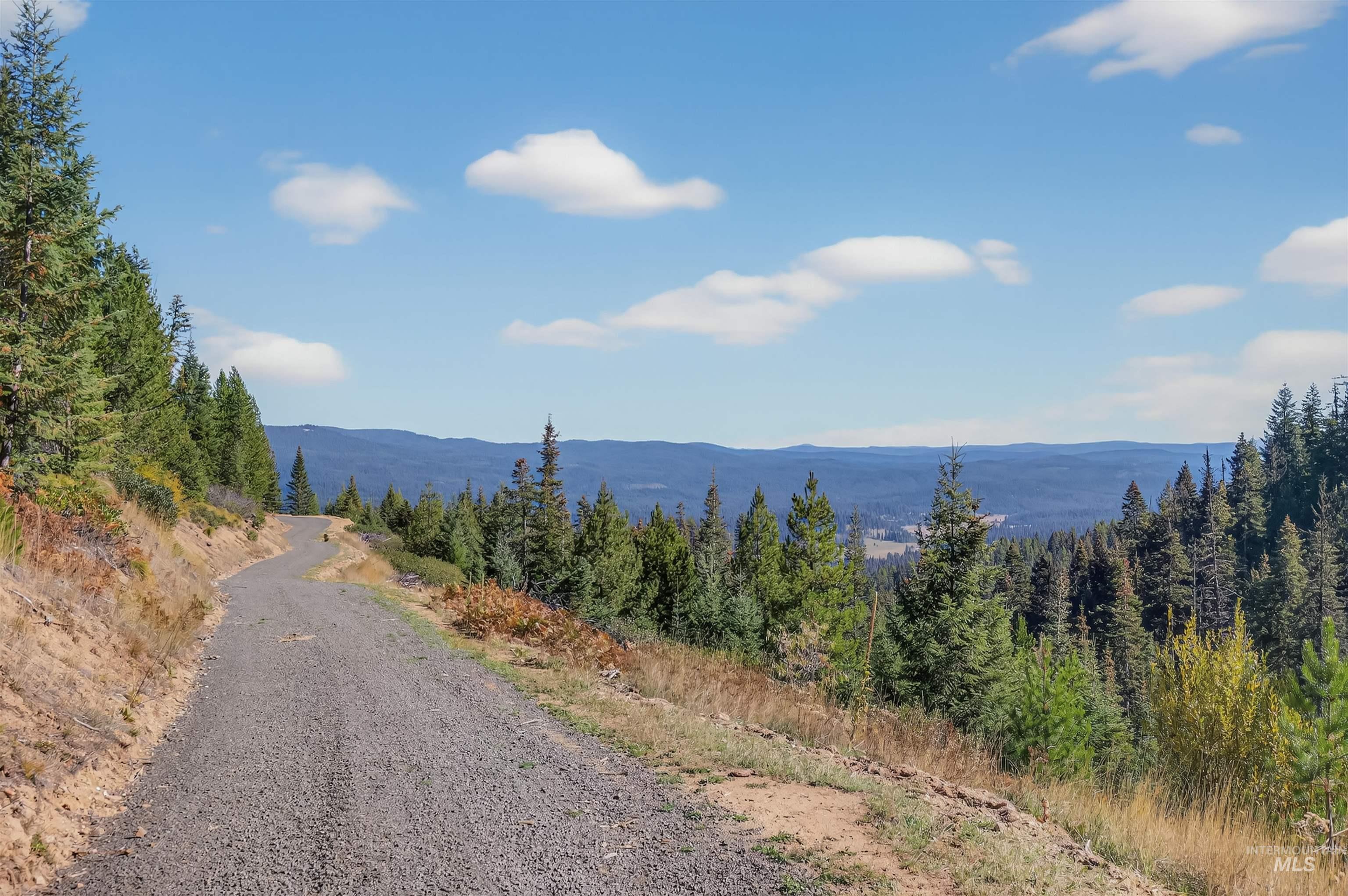 6 Tree Farm Trails Road Elk City, ID 83525 - Photo 6 of 13 View of mountain backdrop featuring a heavily wooded area