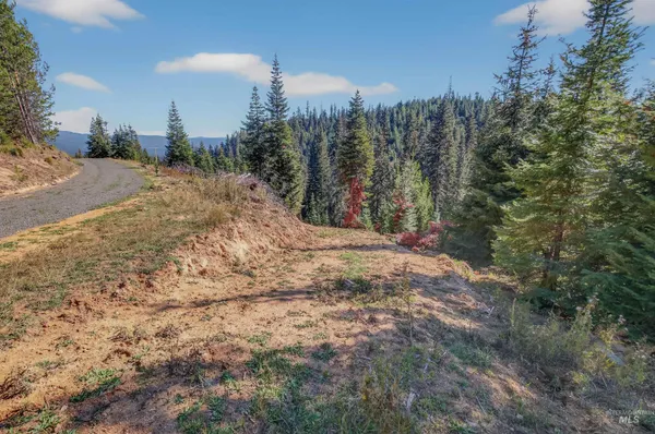 $179,000 | 6 Tree Farm Trails Road, Elk City, ID 83525