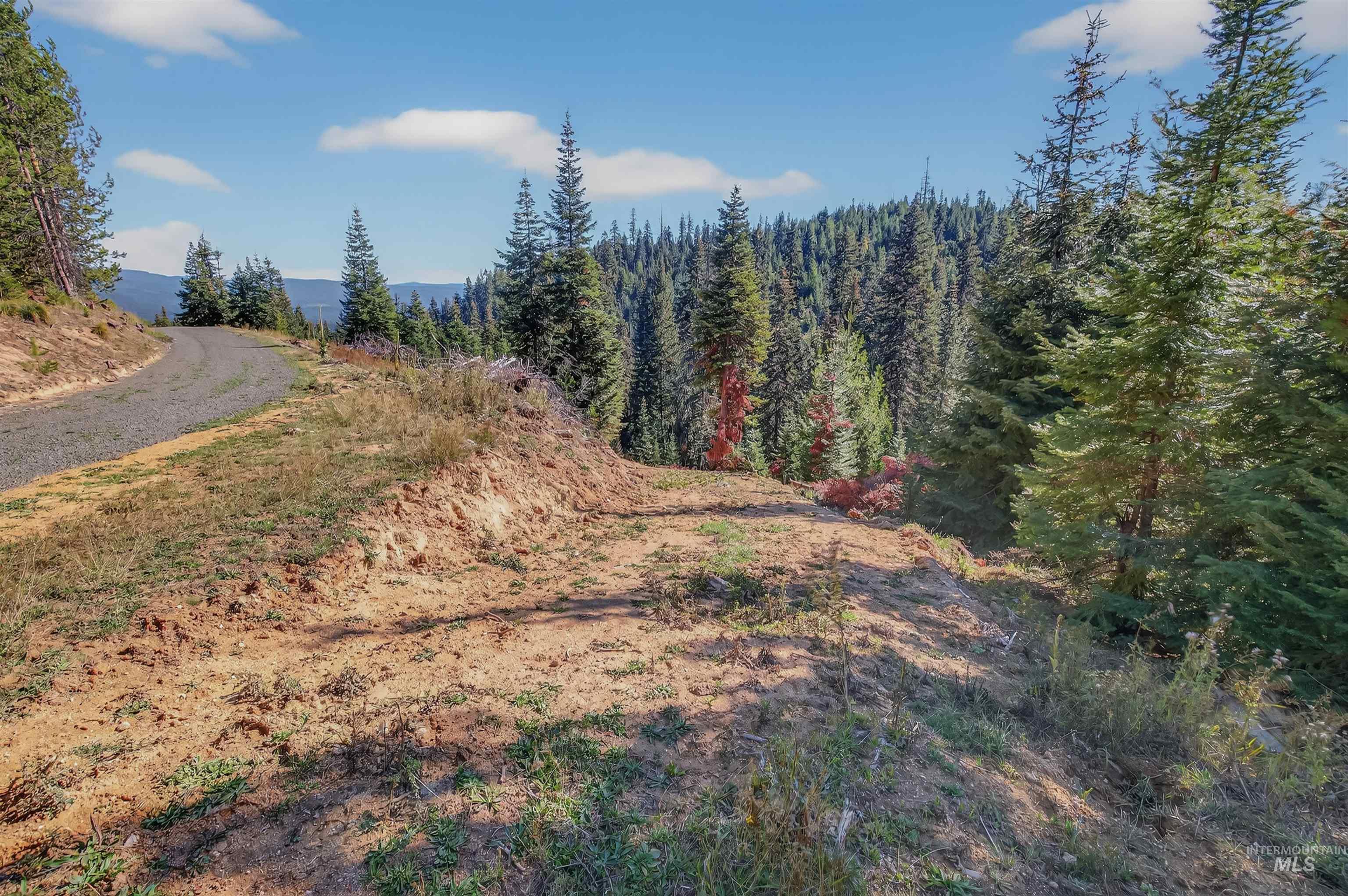6 Tree Farm Trails Road Elk City, ID 83525 - Photo 7 of 13 View of nature