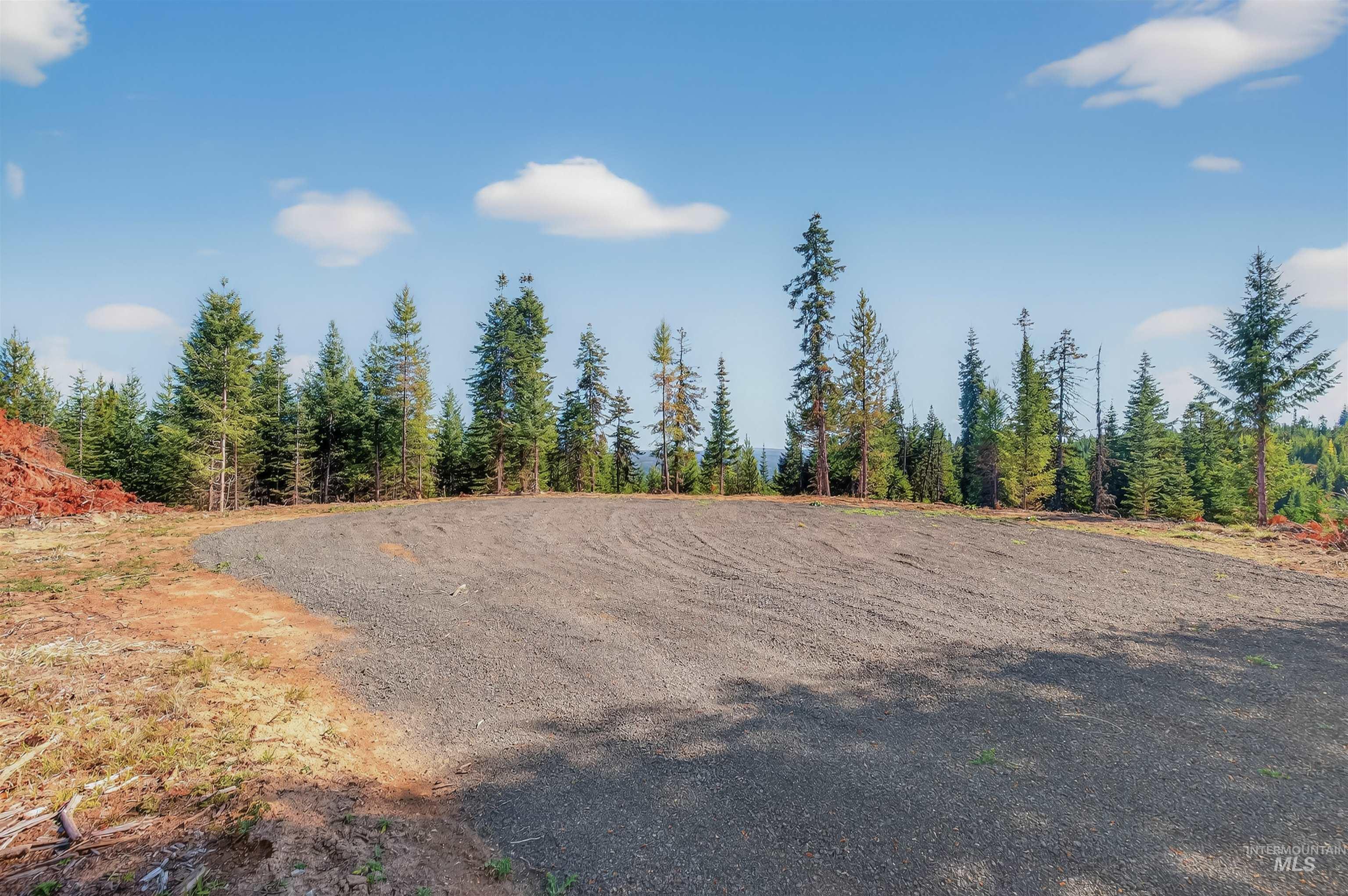 6 Tree Farm Trails Road Elk City, ID 83525 - Photo 9 of 13 View of nature