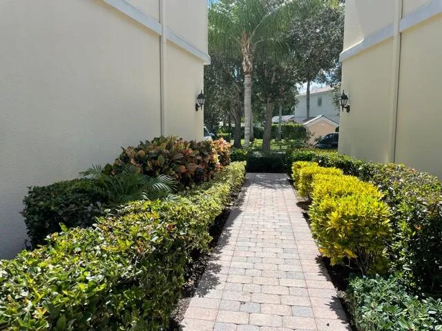 a view of a pathway with flower pots