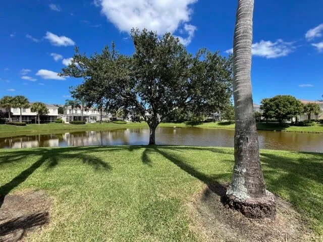 a view of a yard and palm tree