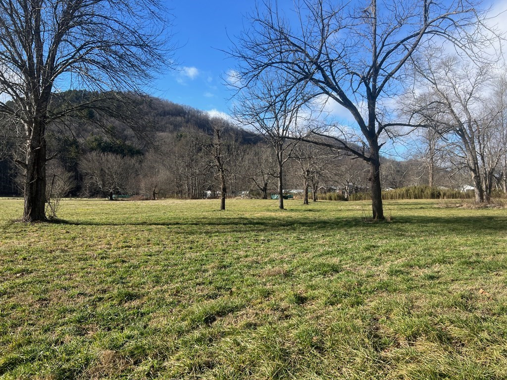 3 Riverside Meadows Hiawassee, GA 30546 - Photo 10 of 22