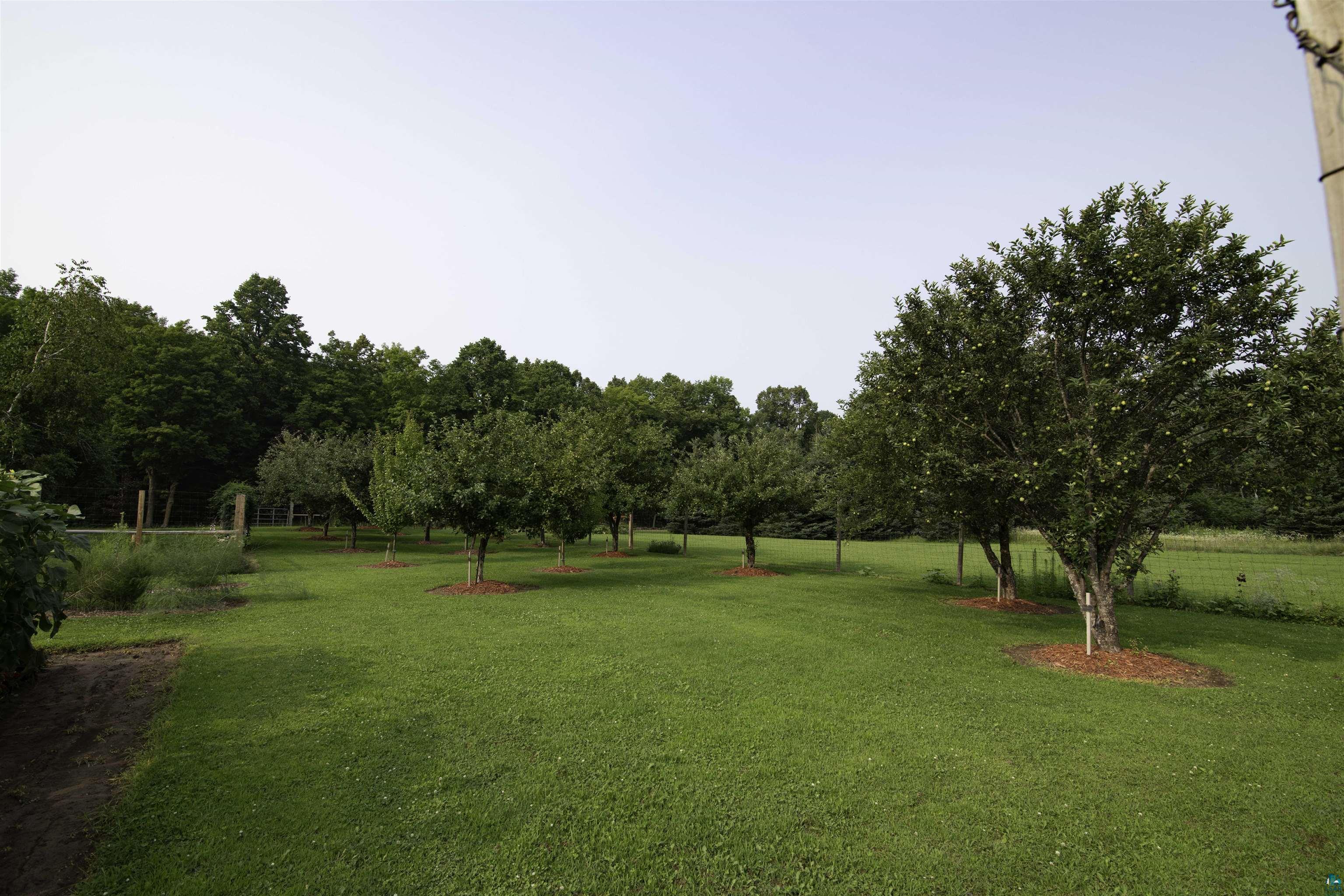 58715 Noid Road Mason, WI 54856 - Photo 10 of 89 Orchard