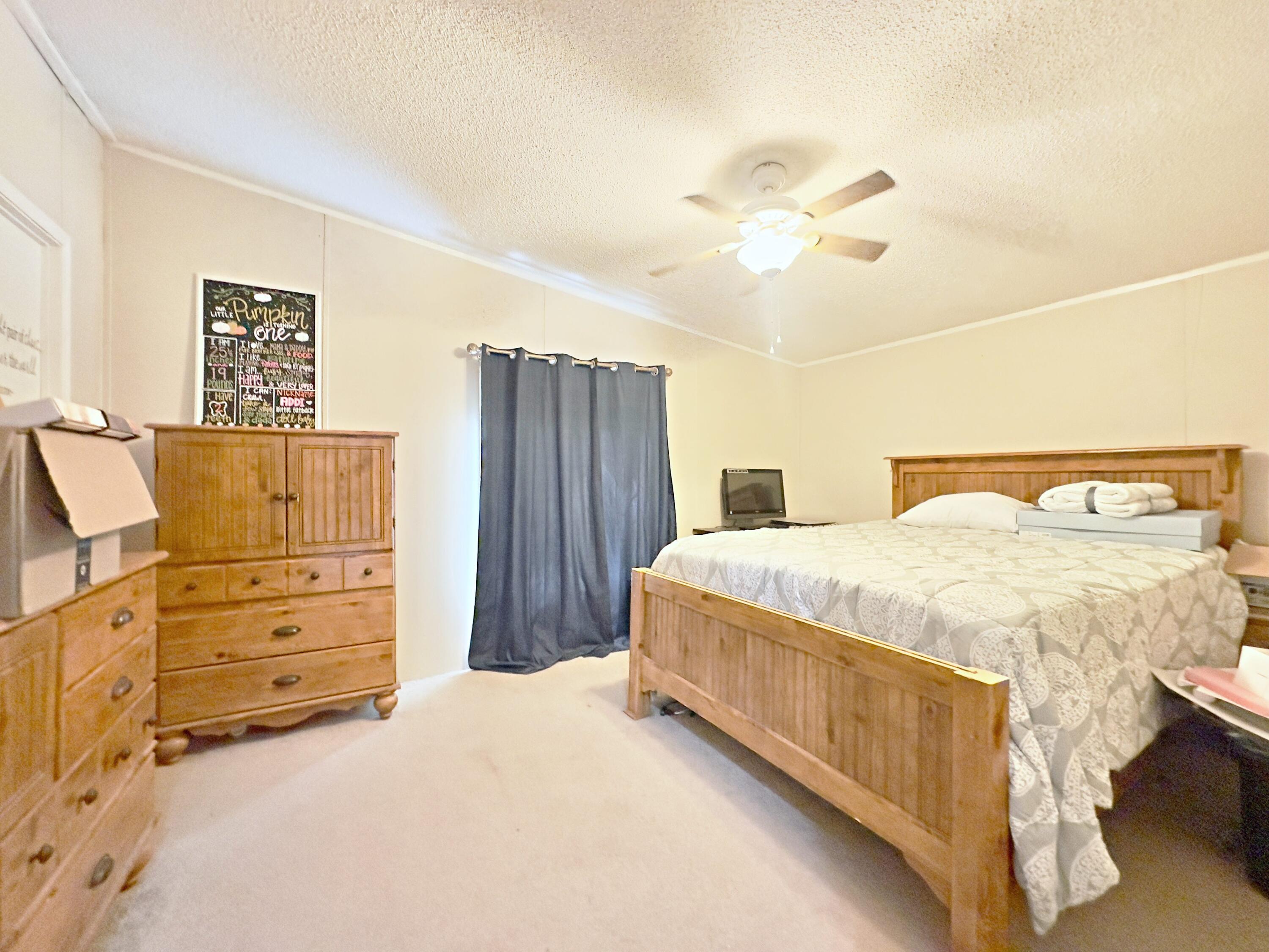 174 Wyatt Place Road Waynesboro, GA 30830 - Photo 29 of 30 IMG_E2658