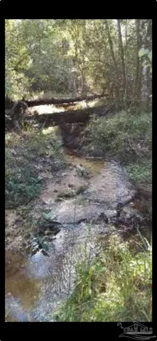 $399,000 | 6300 Deer Lake Road, McDavid, FL 32568