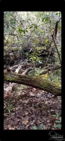 $399,000 | 6300 Deer Lake Road, McDavid, FL 32568