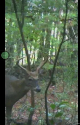 $399,000 | 6300 Deer Lake Road, McDavid, FL 32568