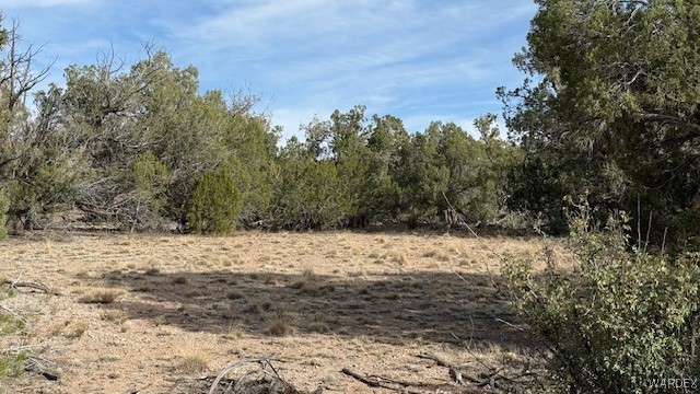 373 Spotted Colt Road Seligman, AZ 86337 - Photo 17 of 19 Other