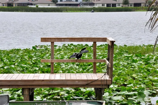 a view of house with a yard
