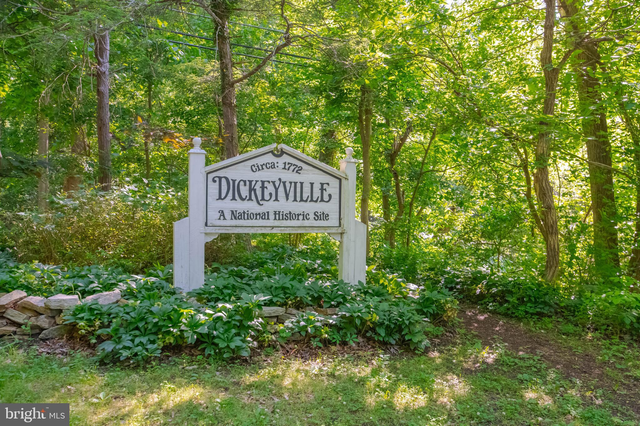 4901 Wetheredsville Road Baltimore, MD 21207 - Photo 51 of 54 Welcome to Dickeyville!