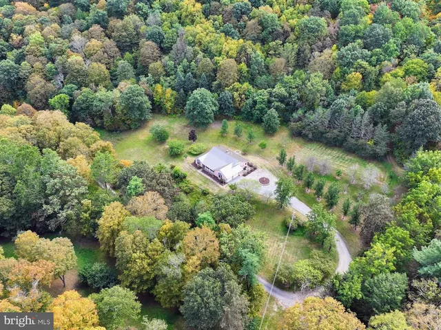 a view of a garden with a lake