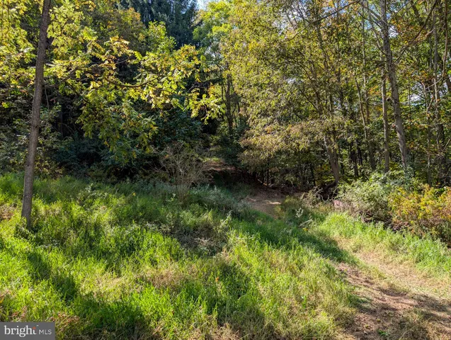 $560,000 | 353 Pine Pitch Road, Buffalo Mills, PA 15534