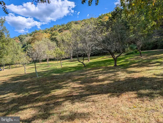 $560,000 | 353 Pine Pitch Road, Buffalo Mills, PA 15534