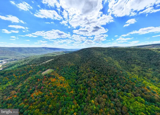 a view of a yard with lots of green space
