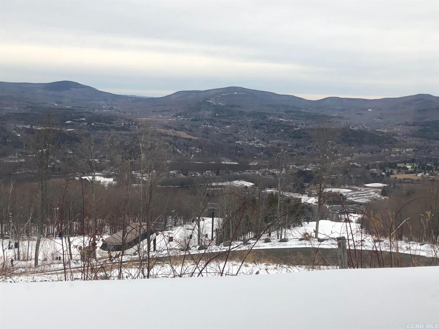 248 Club Road Windham, NY 12496 - Photo 7 of 9 a view of a lake in a city