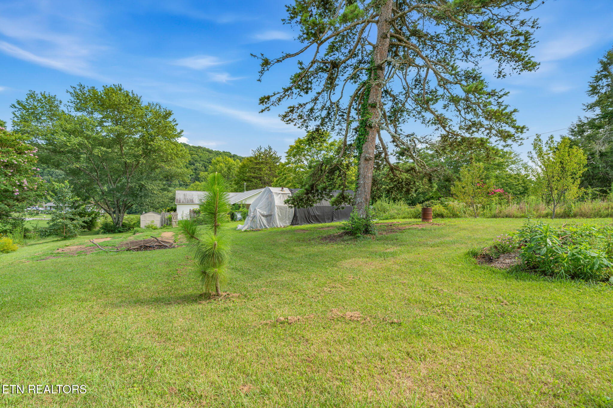 231 Wright Road Oliver Springs, TN 37840 - Photo 5 of 38 4-web-or-mls-231 Wright Road-3