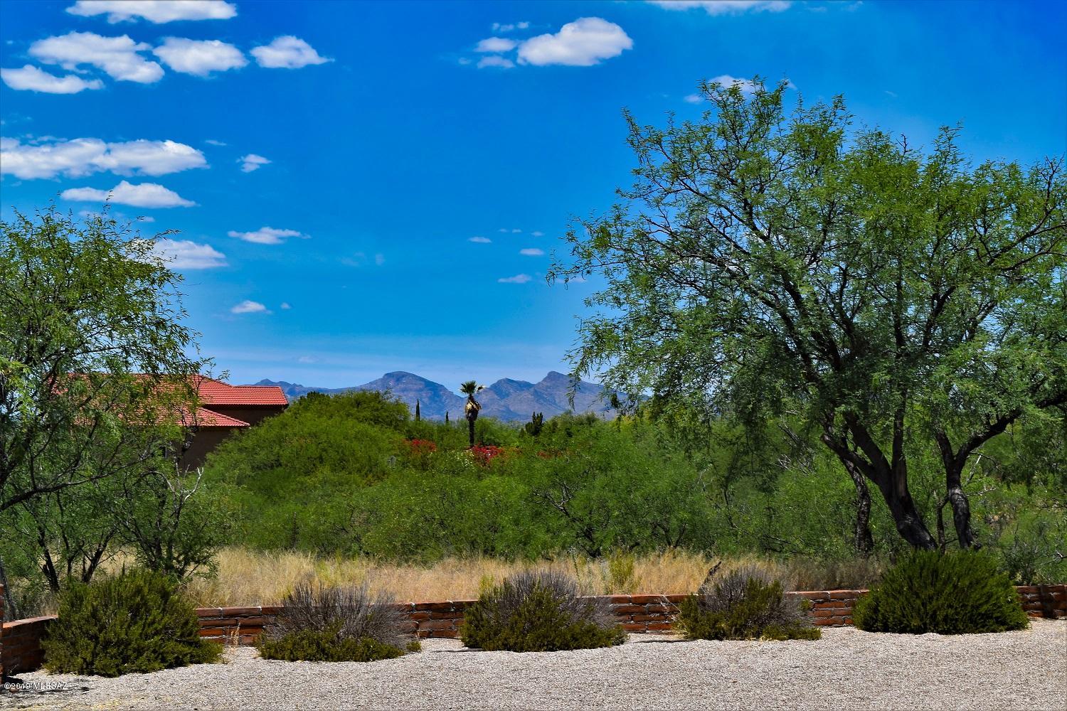392 Willow Drive Rio Rico, AZ 85648 - Photo 24 of 25 a view of a lake with a mountain in the background