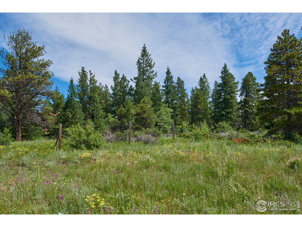 78 Thunder Ridge Road South Nederland, CO 80466 - Photo 28 of 37