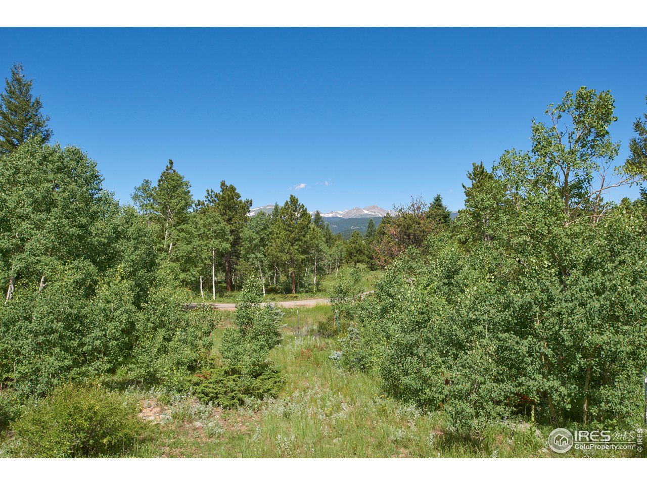 78 Thunder Ridge Road South Nederland, CO 80466 - Photo 29 of 37
