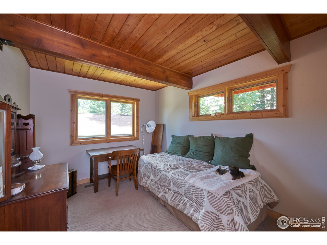 78 Thunder Ridge Road South Nederland, CO 80466 - Photo 30 of 37