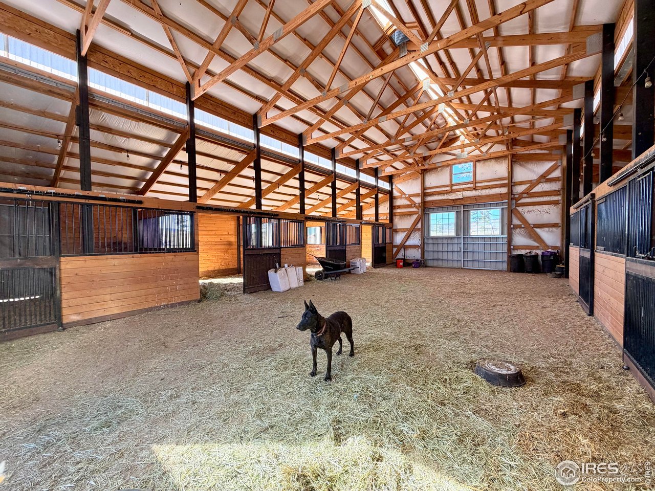 3235 Davis Ranch Road Bellvue, CO 80512 - Photo 9 of 38 Gallery Image 9