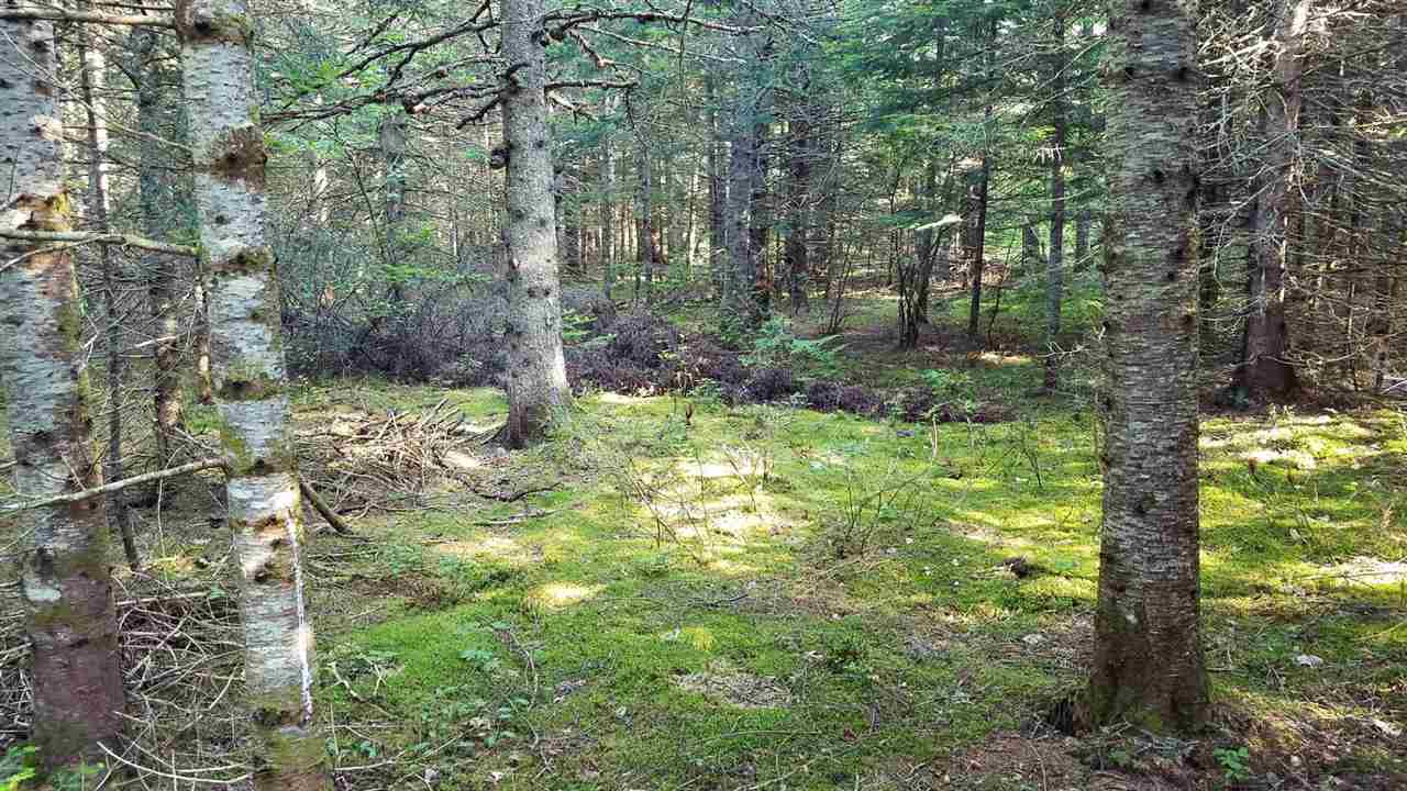 0 Bilodeau Road, Unit LOT 7 Island Pond, VT 05846 - Photo 1 of 10 Gallery Image 1
