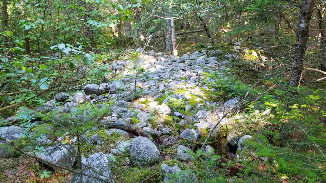 0 Bilodeau Road, Unit LOT 7 Island Pond, VT 05846 - Photo 2 of 10 Gallery Image 2