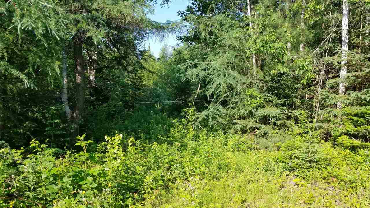 0 Bilodeau Road, Unit LOT 7 Island Pond, VT 05846 - Photo 3 of 10 Gallery Image 3