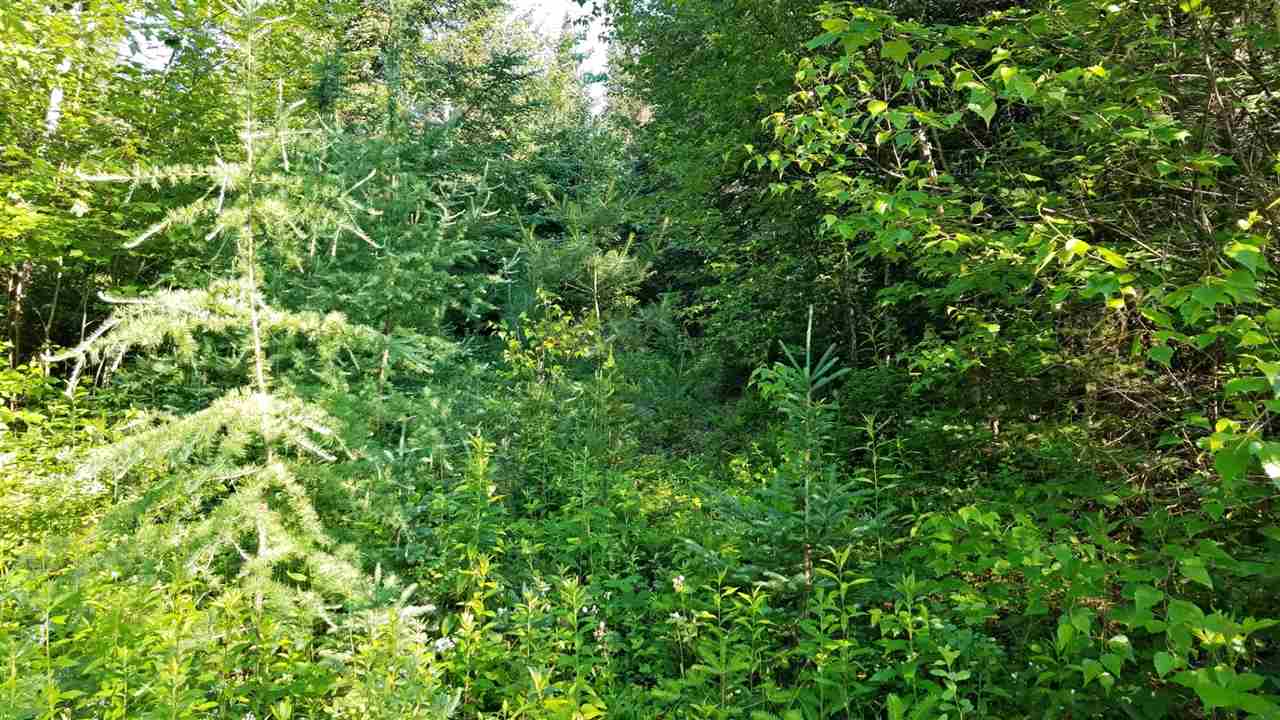 0 Bilodeau Road, Unit LOT 7 Island Pond, VT 05846 - Photo 4 of 10 Gallery Image 4