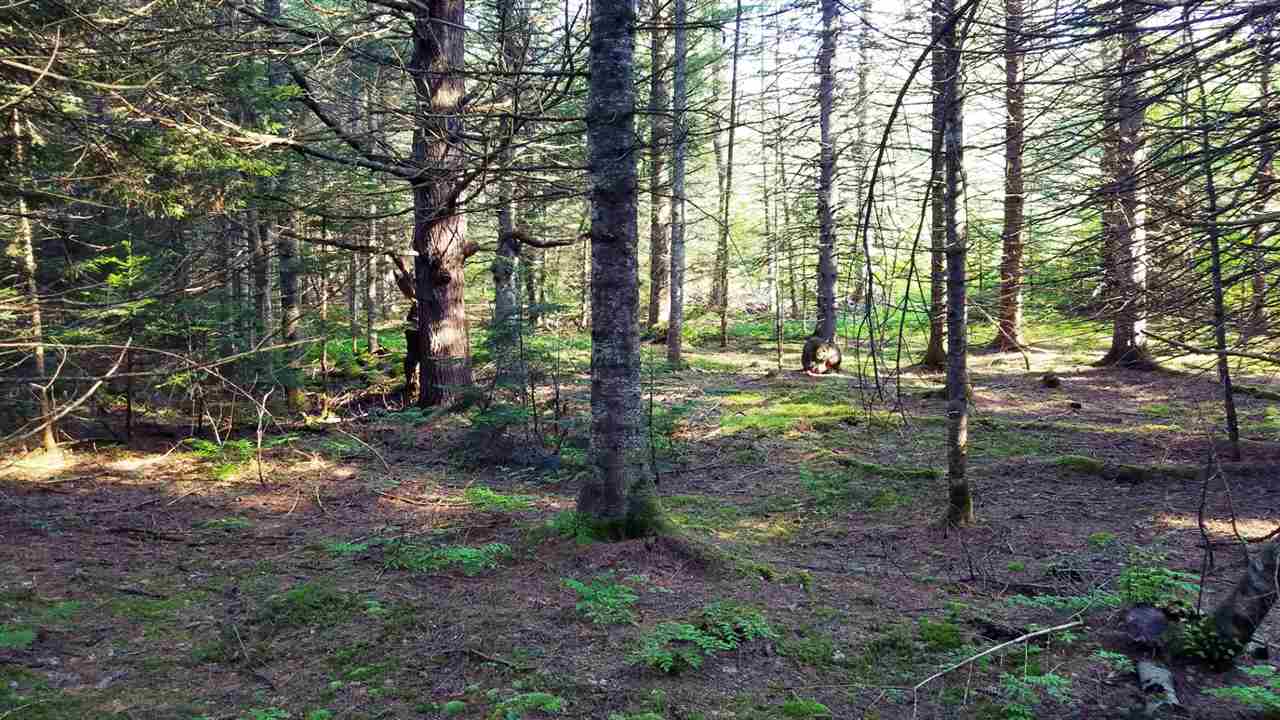 0 Bilodeau Road, Unit LOT 7 Island Pond, VT 05846 - Photo 6 of 10 Gallery Image 6