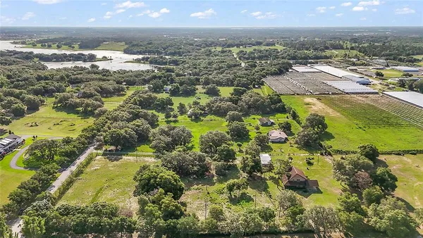 a view of a yard with large trees