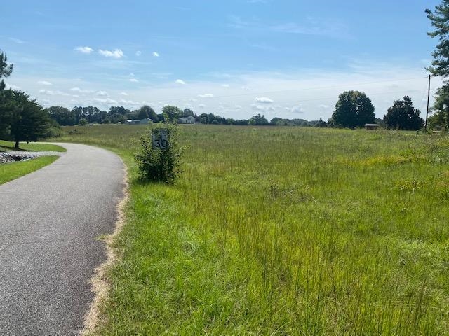 0 Ballenger Road Wellford, SC 29385 - Photo 5 of 8